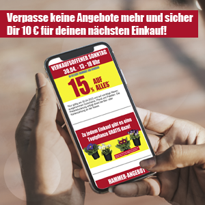 Newsletter_300x300 Newsletter_300x300